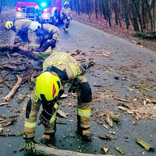 Drzewo blokowało jeden pas jezdni. Interweniowali strażacy