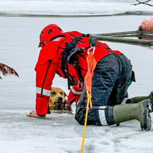 Pod psem załamał się lód. Z pomocą ruszyli strażacy
