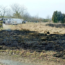 Pożar na ogródkach działkowych. Interweniowali strażacy