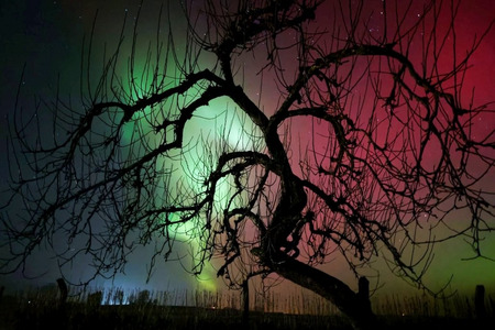 Okolice Szaradowa, fot. Kuba Szkudlarek