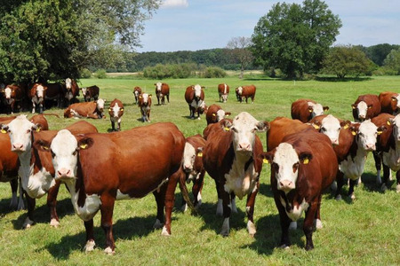 fot. Artur Kubat (ARiMR)