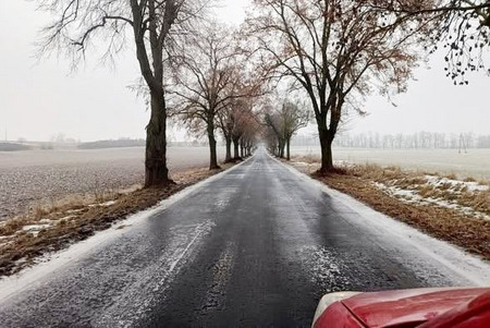 fot. STBus Bydgoszcz