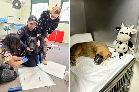 fot. por. Michalina Kulczyk/ materiały własne