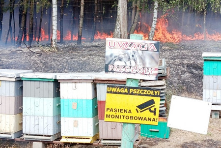 fot. KPP w Żninie